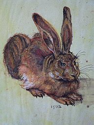 D&uuml;rer